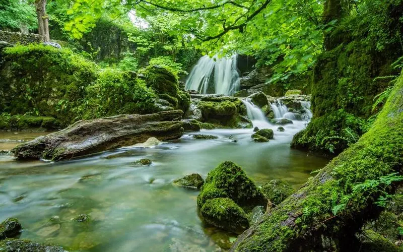 高性能科技